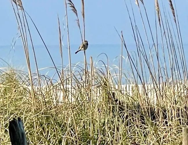 Appartement On The *